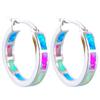 Fashion Jewellery Healthy Stimulation Acupoint Gallstone Earrings Weight Loss Hoop Slimming Earring