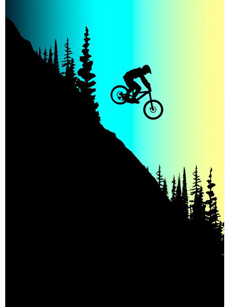 Винтажные плакаты с горным велосипедом, печать на холсте, картина для любителей спорта, настенная художественная картина для гостиной, украшение дома