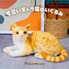 Miaomyao Plush Toy, Brown Tabby Cat, Fluffy, Soothing Item, Birthday Gift for Kids and Adults, 28cm