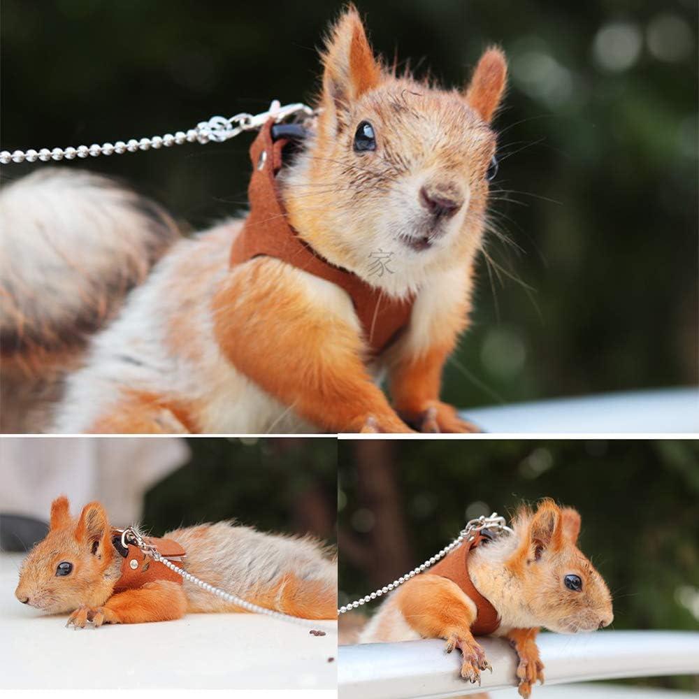 1 Set Pet Squirrel Harness with Leash Adjustable &  Harness Leash Set for Small Animals Outdoor Training Walking