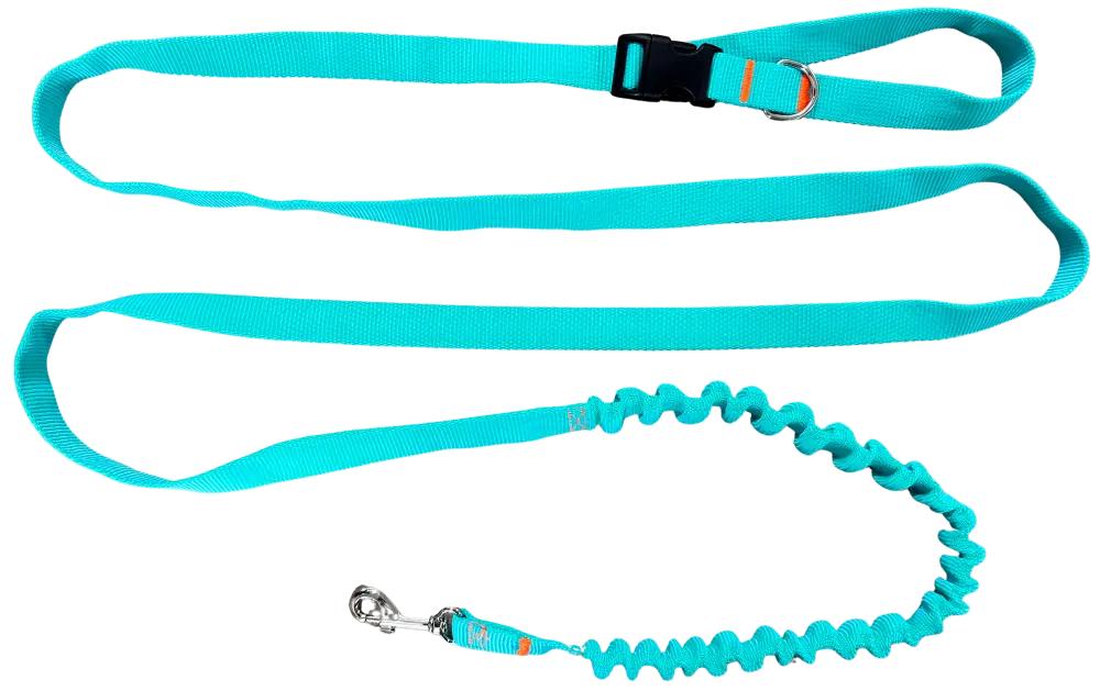 Dog Leash with Shock Absorber 280cm MINT Adjustable Sports