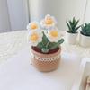 Handmade Woolen Yarn Flowers Crochet Knitting Kit No Finish Tulip Potted Flower  Desktop Ornament