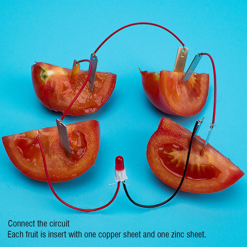 Children DIY Homemade Fruit Battery Power Educational Electricity Generating Experiment