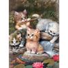 5D DIY Diamond Painting Cat Nest Diamond Diamond Embroidery Full Mosaic Kits Cross Stitch Home Decor Handmade Gifts