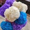 Multi-Color Preserved Bigleaf Hydrangea Single Stem Flower Bouquet for Home Decoration