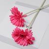 Bolus Jamesonii Gerbera Flower Artificial Plant Ornament For Decor Home