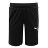 Puma Шорты Zqj 658608 03 Puma Team Goal Casual Short