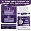 Probiotic & Postbiotic Blend for Natural GLP-1 Support —Supports long-term metabolic health at the gut level
