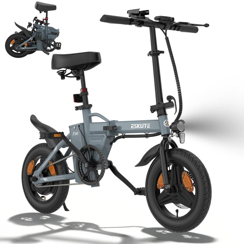 ESKUTE F100 Adult Folding Convenient E-Bike 250W Motor 36V9Ah Battery 14 Inch Fat Tires Electric Bike City Outdoor Electric Bicycle