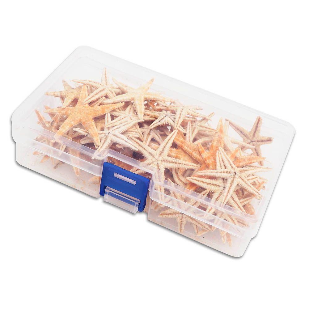 Conch Sea Shells for Aquatic Pet Starfish Fish Tank Decoration Aquarium Supplies Resin Casting