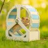 Animal Plastic Hamster Running Wheel Silent Stable Base Rodent Running Wheel 21cm Colorful Exercise Wheel for Small Animals
