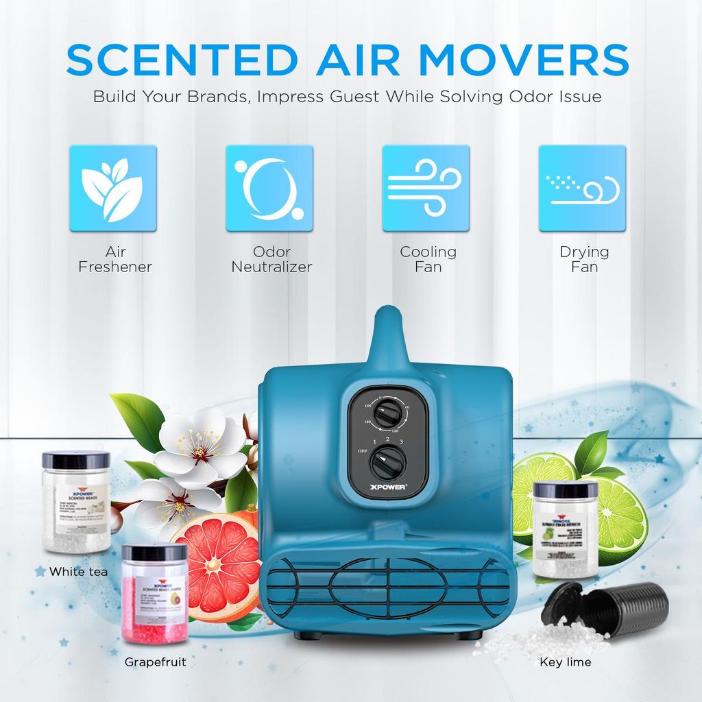 Fragrant breeze Floor Blower XPOWER Timer Air mover Blue Durable & Premium P-250T Grapefruit Scent Beads Air deodorization