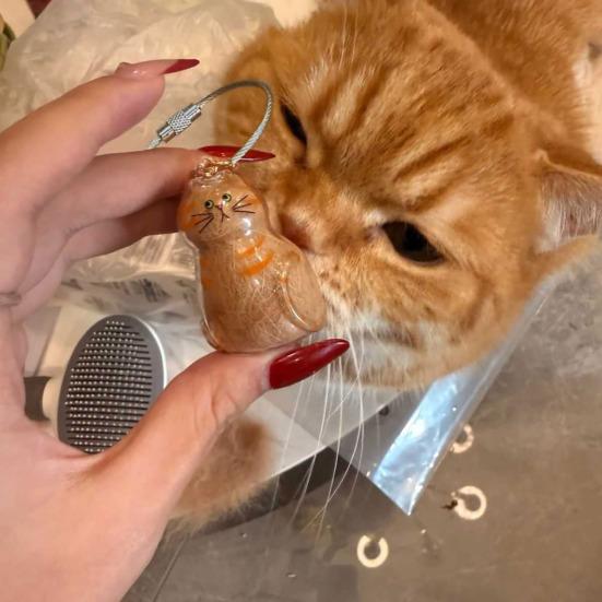 Прозрачная бутылочка для хранения кошачьей шерсти, брелок-сувенир для сбора кошачьей шерсти