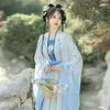 Chinese Song Dynasty Style Hanfu Women's Wear Daily Pleated Skirt Set