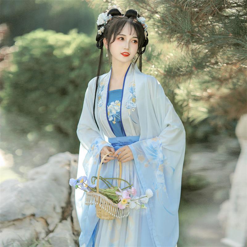 Chinese Song Dynasty Style Hanfu Women's Wear Daily Pleated Skirt Set