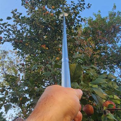 Телескопический инструмент для сбора фруктов с регулируемой ручкой от 3,3 фута до 13 футов и прочной головкой из нержавеющей стали для сбора яблок, груш, апельсинов в садах