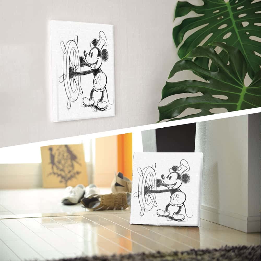 Disney Poster Mickey Mouse 30cm X 30cm Made In Japan Dsn-0143