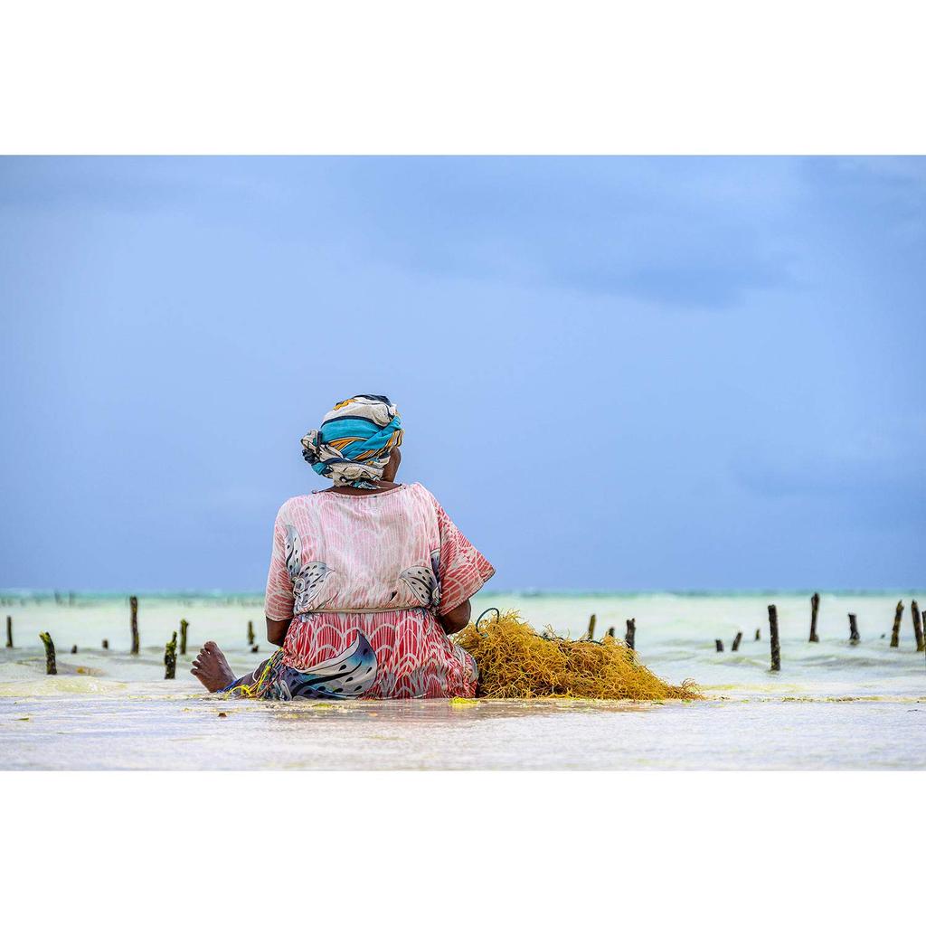 Nikon Telephoto High Magnification Zoom Lens NIKKOR Z VR Z Mount Full Size Compatible 24-200mm F/4-6.3 NZ24-200