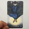 The Meraki Tarot 10.3*6cm Inspired By The Magic of Nature and Animals 79 Pcs Cards Based On Rider Waite System