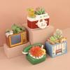Resin Storage Box Flowerpot Creative Succulent Pot Retro Style TV Radio Bonsai Storage Box Flowerpot Decor Desktop Ornaments