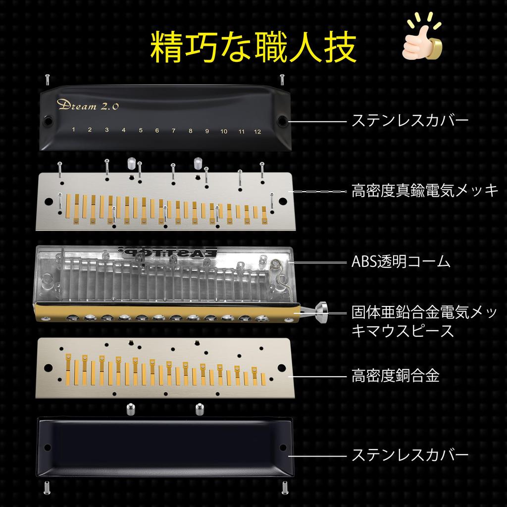 East Top Chromatic 12 48 C for Adults and Black Harmonica, Holes, Notes, Key, Professionals,