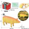 4D Stereo DIY Animal Model Kit: Eagle, Scorpion, Gecko, Rattlesnake, Spider, Lizard, Squirrel, Hedgehog