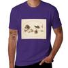 Snail Circle T-Shirt anime summer tops oversized sweat black t shirts for men