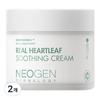 Успокаивающий крем Neogendermalogy Real Heartleaf, 80 г, 2 шт.
