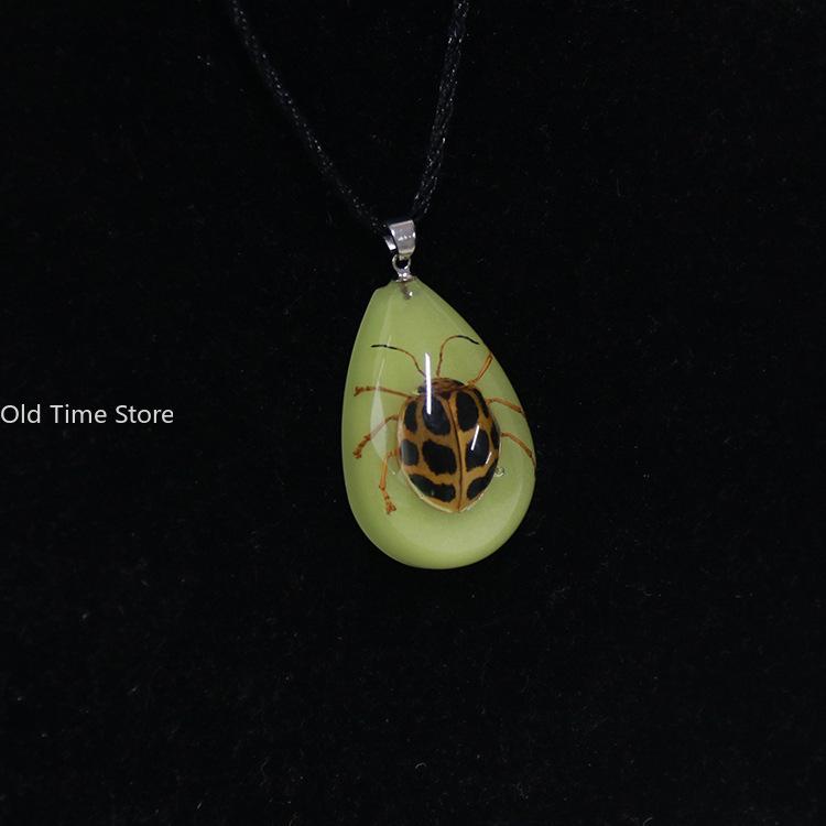 Luminous Naturally Scorpion Necklace Vintage Resin Insect Beetle Spider Amber Pendant Rope Chain Necklaces Glow In Dark Jewelry