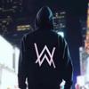 Высококачественная тяжелая толстовка Alan Walker - Унисекс Осенний/Зимний свитшот