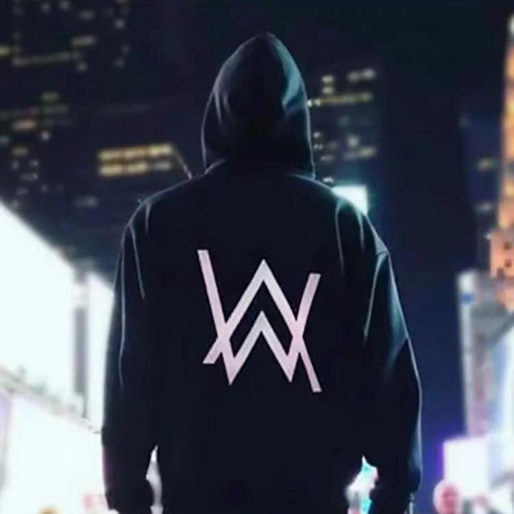 Высококачественная тяжелая толстовка Alan Walker - Унисекс Осенний/Зимний свитшот