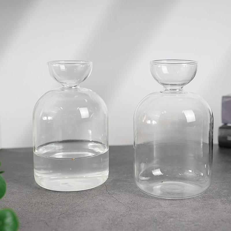 1PC Avocado Seed Starter Vase Transparent Glass Vase Vase For Growing Plant Glass Seed Growing Kit For Gardening Lovers
