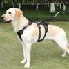 Beanshop Dog Harness Leash Set 3-stage Chest Strap, Black