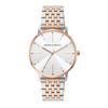 Analog Silver Dial Ladies Watch Two Tone [Armani Exchange] T-SERIES