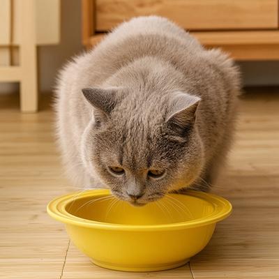 Керамическая миска для кормления кошек, миска для котят, не мешающая усам, для еды и воды, безопасная для микроволновой печи и посудомоечной машины, широкая неглубокая тарелка для домашних животных для сухого и влажного корма