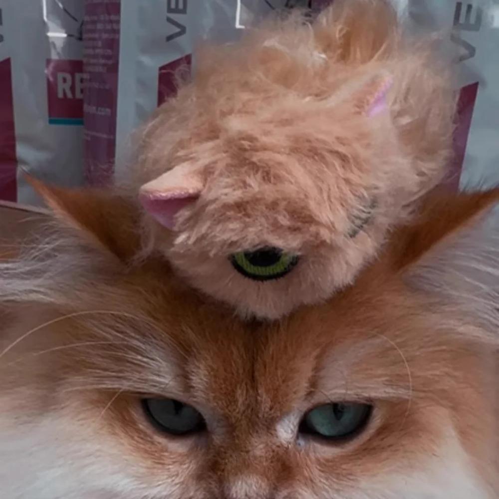 Qualia Неласковые кошки Кукла Милый пушистый кот Орнамент с характером Япония Кот Капсульная игрушка Подарок для поклонников аниме