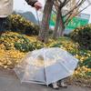 Pet Umbrella Teddy Puppy Umbrella Dog Snow Rain