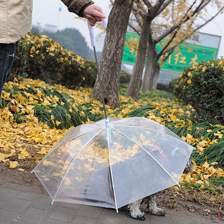 Pet Umbrella Teddy Puppy Umbrella Dog Snow Rain