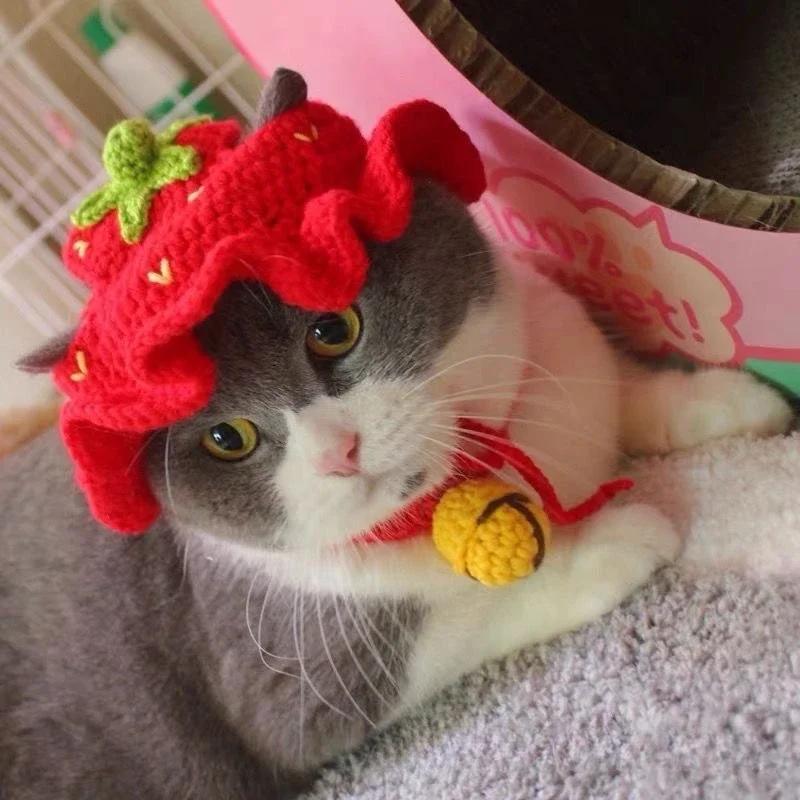 Милая изысканная шапка для кошек, эластичная осенне-зимняя шапка для домашних животных, щенков, котят, вязаная шапка, реквизит для вечеринки, фотосессии, украшения, аксессуары для кошек
