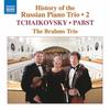 CD БРАМС ТРИО; ЧАЙКОВСКИЙ - История русского 2  8574113 Naxos 2021 Европа Классика Б/У