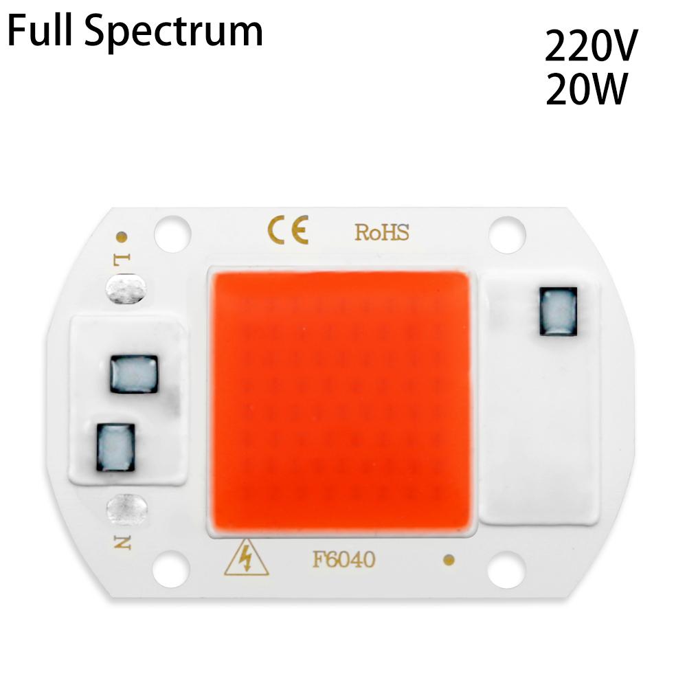 LED Lights COB LED Lamps CHIP AC 220V 50W 30W 20W 10W Hight Brightness Lighting COB Lights Chip For DIY Smart IC Full Spectrum Flood Light