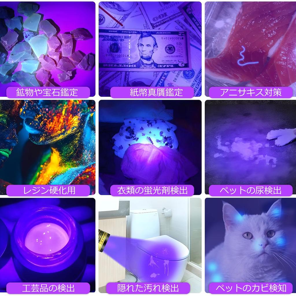 SecurityIng Black Light 395nm 10W Ultraviolet Powerful UV Light USB Rechargeable Anisaki Light Pet Urine Detector Resin Curing Fishing Identification