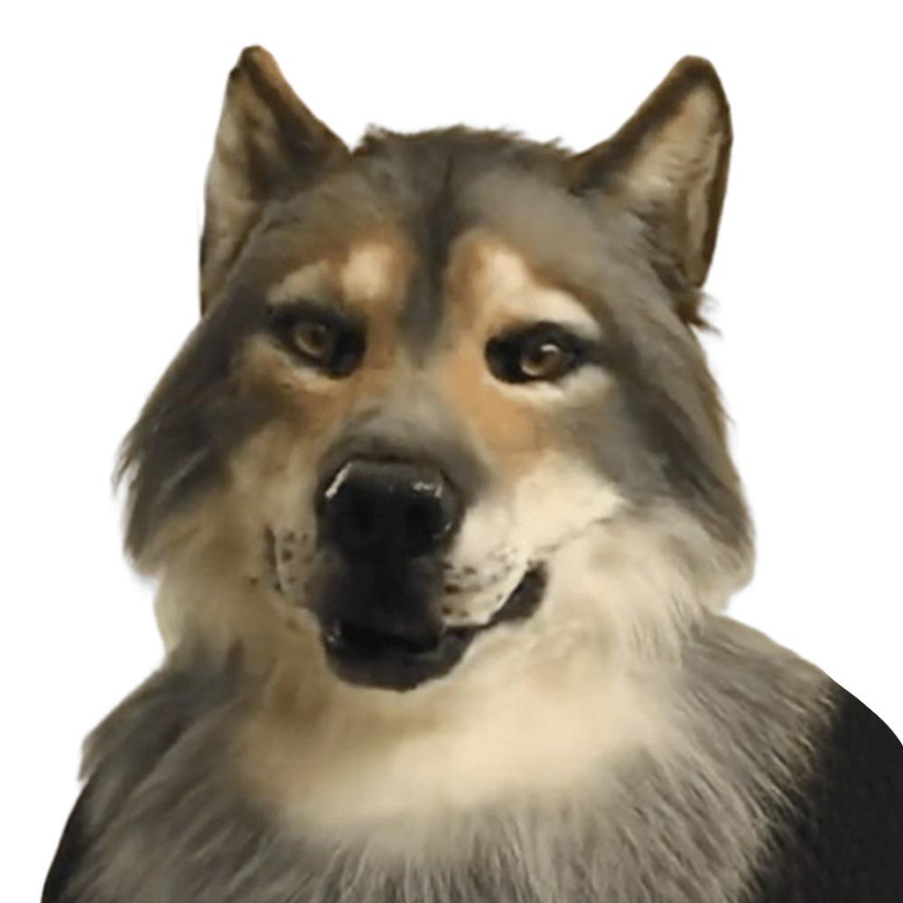 Carnival Party Eagle Mask Simulation Animal Halloween Hood Mask Wolf Mask  Party Makeup Ball