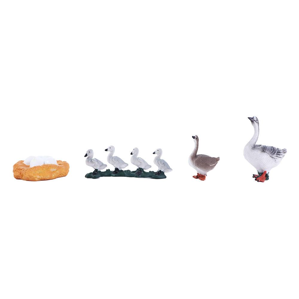 Toys Miniature Cycle Duck Figurine Life Cycle Figures White Goose Growth Cycle Simulation
