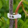 50/100pcs Reusable Plastic Plant Clips Supports Connects Protection Grafting Fixing Tool Gardening Supplies for Vegetable Tomato