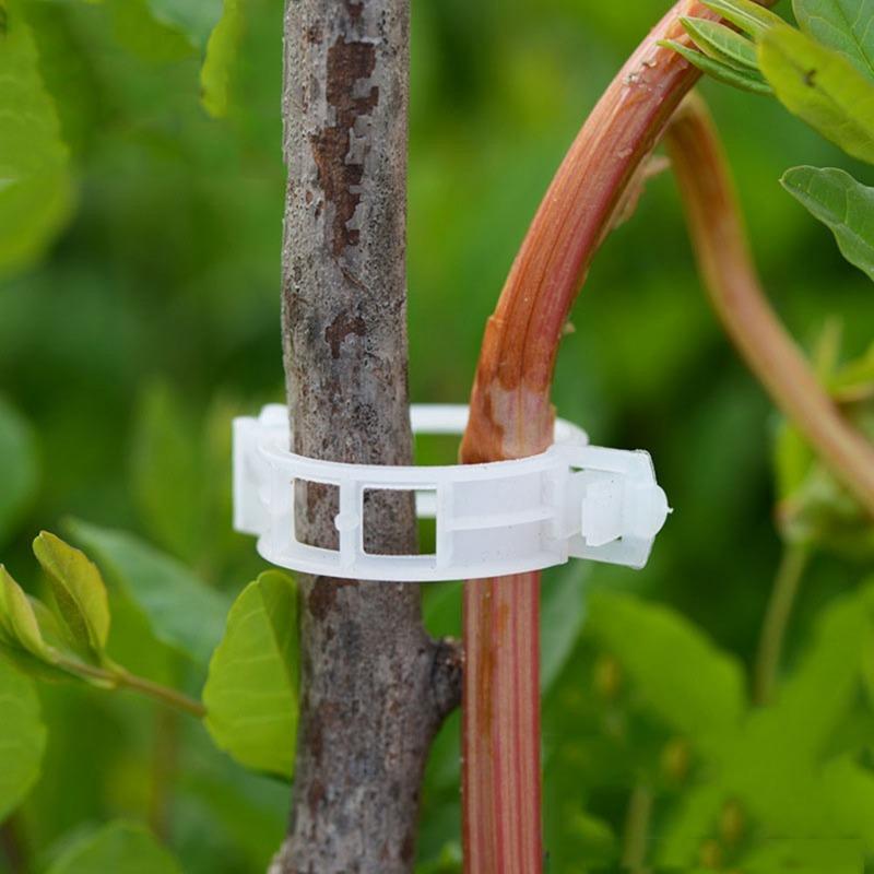 50/100pcs Reusable Plastic Plant Clips Supports Connects Protection Grafting Fixing Tool Gardening Supplies for Vegetable Tomato
