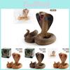 Realistic Pvc Cobra Model Snake For Home Decor With Vibrant Colors And Detailed Features
