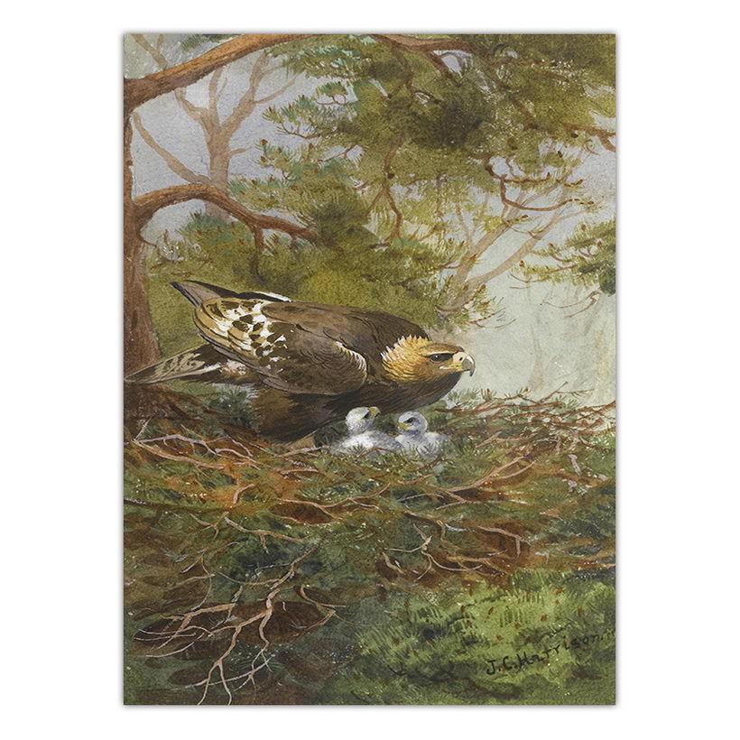 Американское жикле с принтом, картина с птицами, настенная живопись с орлом, настенные панно для гостиной, с животным принтом, Cuadros Decoracion Salon