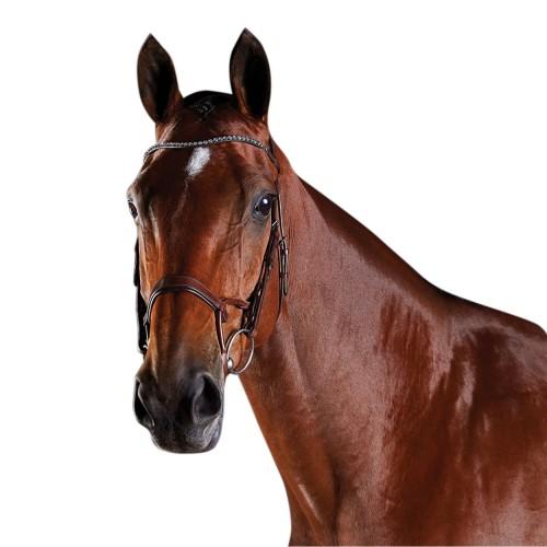 Collegiate Comfitec Crystal Leather Bridle