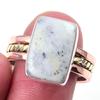 Natural Dendrite Opal Gemstone 925 Sterling Silver Two Tone Ring Size 10 V7w36